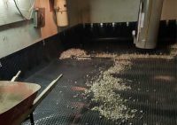 <a href="https://trswaterproofing.ca/basement-waterproofing/"><strong>Basement Waterproofing</strong></a>